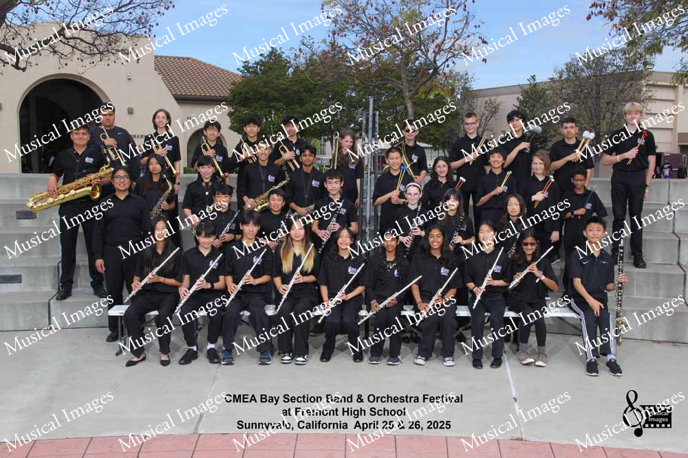 Musical Images